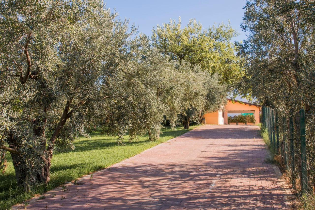 Villa Con Piscina Casale Di Gio Nel Golfo Di Castellammare Partinico Bagian luar foto